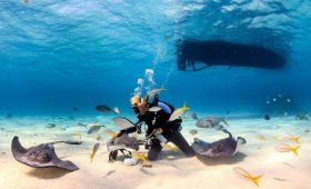 Scuba Diving di Indonesia