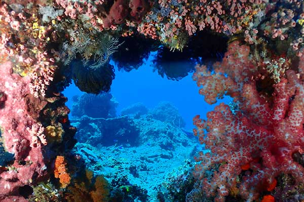 Spot Batu Bolong Reef